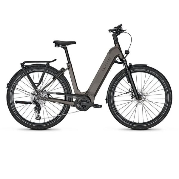 Kalkhoff Endeavour 5 Advance + ABS - 625 Wh - 2024 - 29 Zoll - Tiefeinsteiger