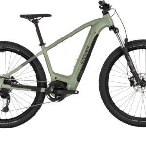 Carver Strict E.510 - 500 Wh - 29 Zoll - Diamant