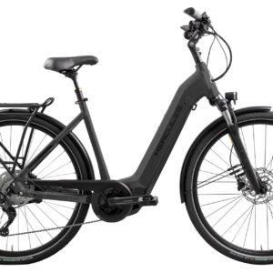 Hercules Futura Sport I-10 - 625 Wh - 28 Zoll - Tiefeinsteiger - 2023