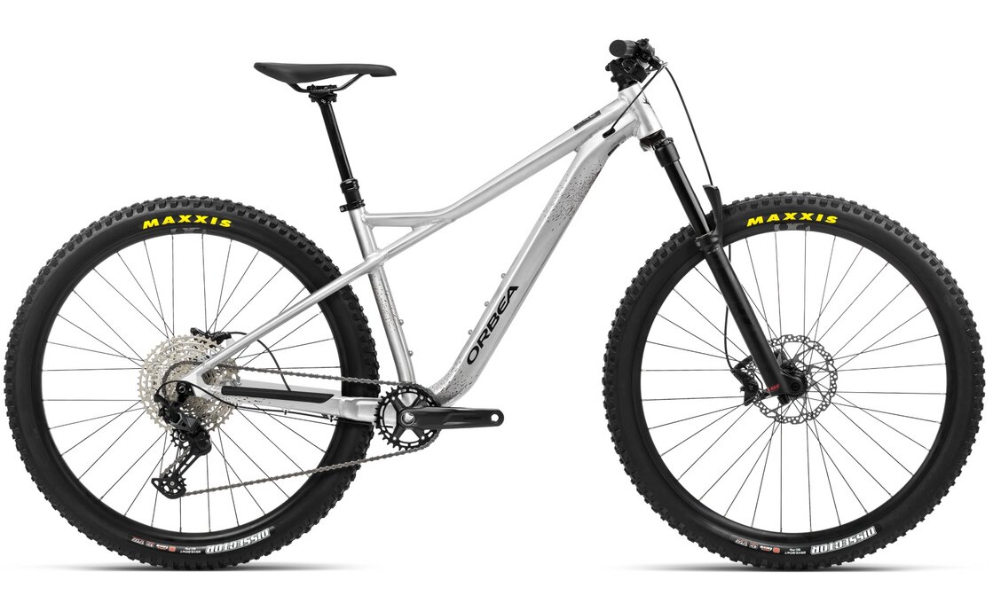 Orbea Laufey H10 - 29 Zoll - Diamant - 2023