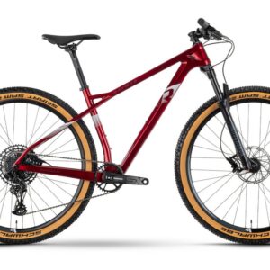 Raymon HardRay 7.0 - 29 Zoll - Diamant - 2024